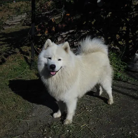 Casa Elena * 레리치